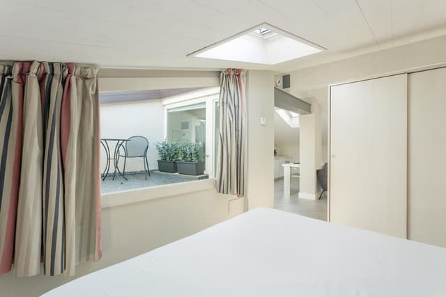 Suite (3 Adults)