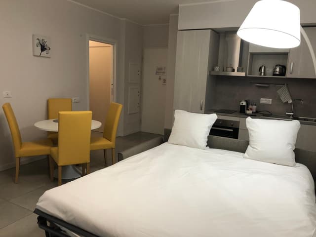 One-Bedroom Apartment with Sofa Bed