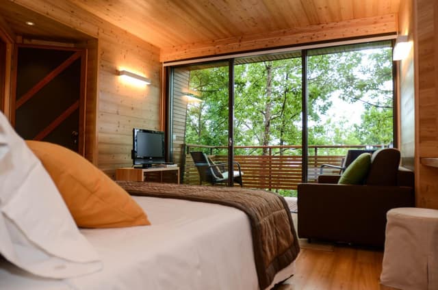 Junior Suite - Tree House
