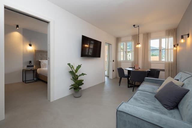 Deluxe One-Bedroom Apartment