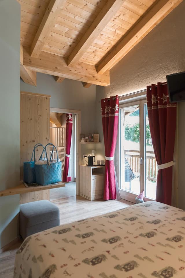 Superior Double or Twin Room