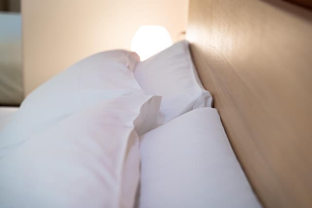 Deluxe Room (2 Adults + 1 Child)