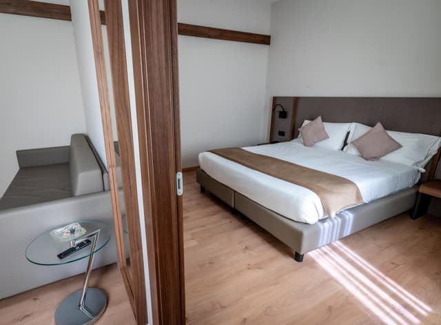 One-Bedroom Apartment with Sofa Bed (3 Adults)