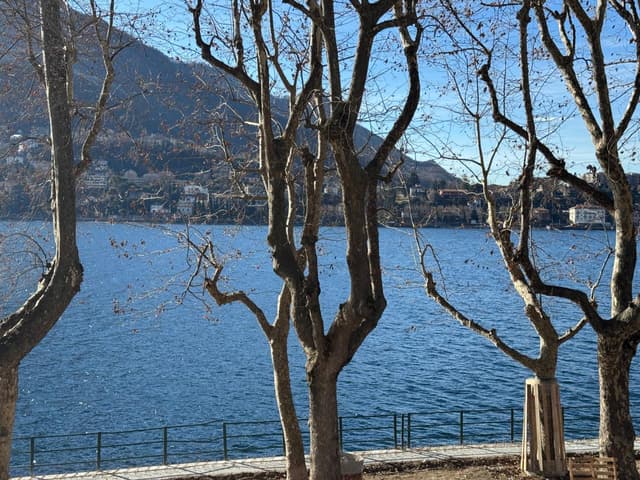 Double Room with Lake View