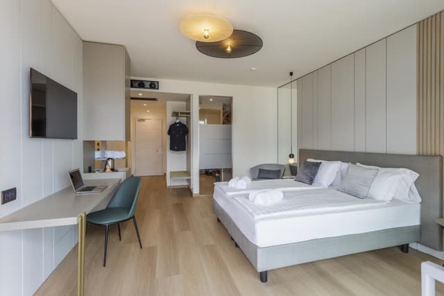 Double or Twin Room with Lake View