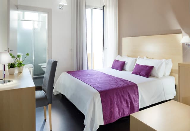 Basic Double or Twin Room