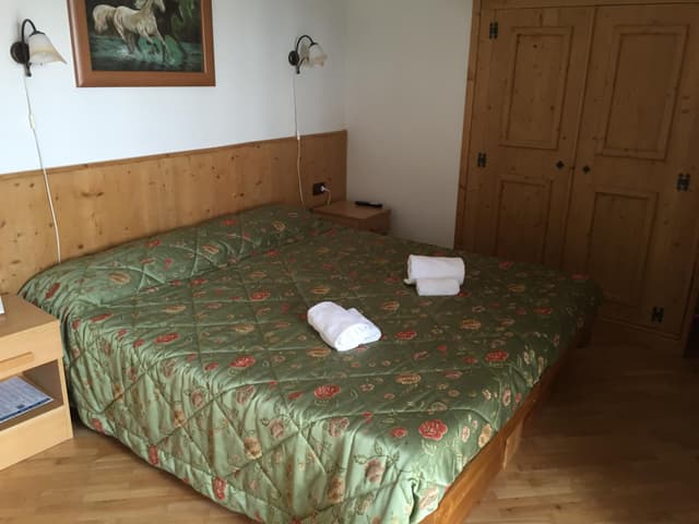 Double or Twin Room