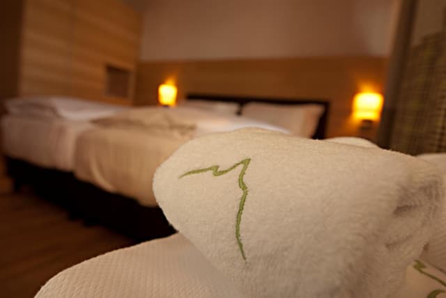 Comfort Double or Twin Room