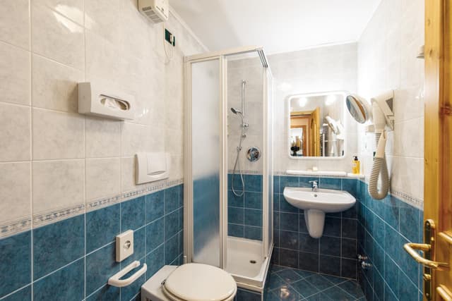 Superior Single Room