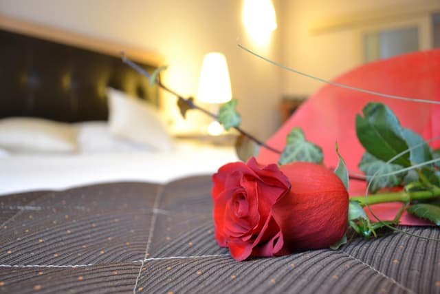 Premium Room with Spa Bath