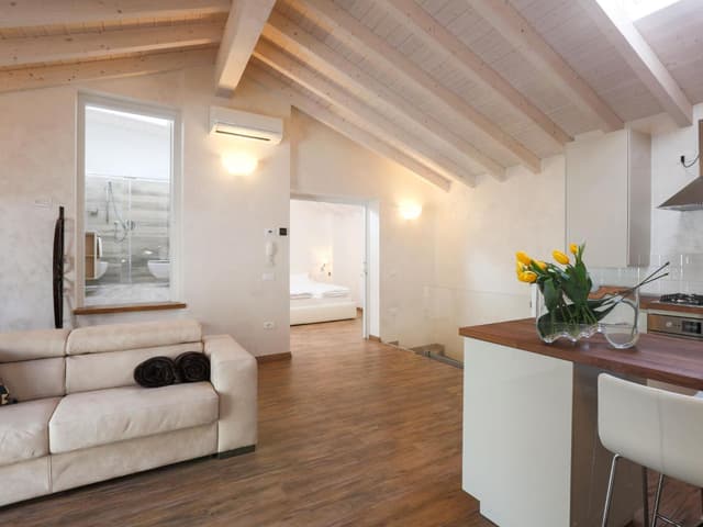 Deluxe Apartment - Attic