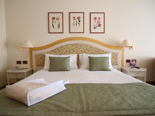 Double Room Single Use with Lake View (1 Adult)