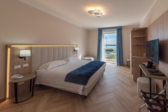 Deluxe Double or Twin Room, 1 King Bed, Lake View