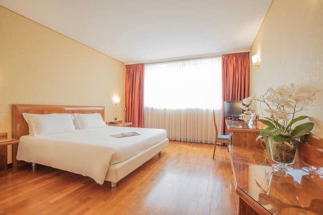Double Room Single Use
