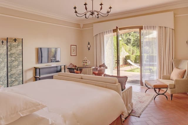 Junior Suite (Garden - Deluxe)