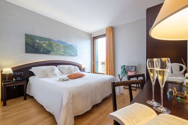 Classic Double Room Single Use
