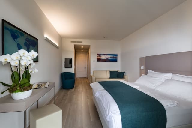 Superior Room, Partial Lake View