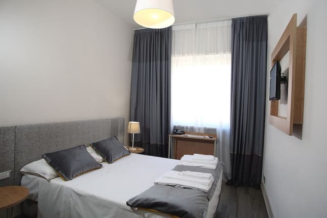 Business Double Room Single Use