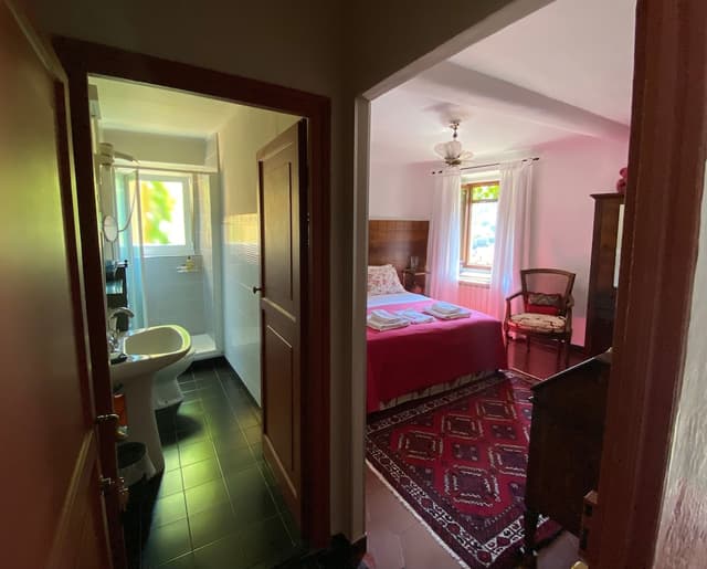 Basic Double Room