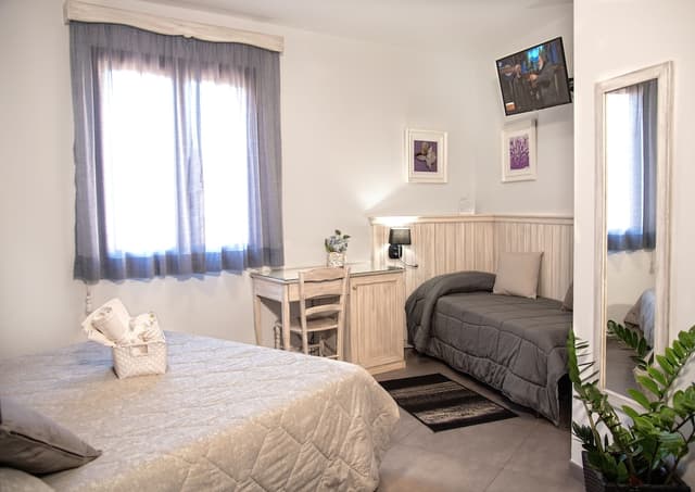 Triple Room, City View