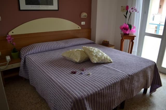 Basic Triple Room