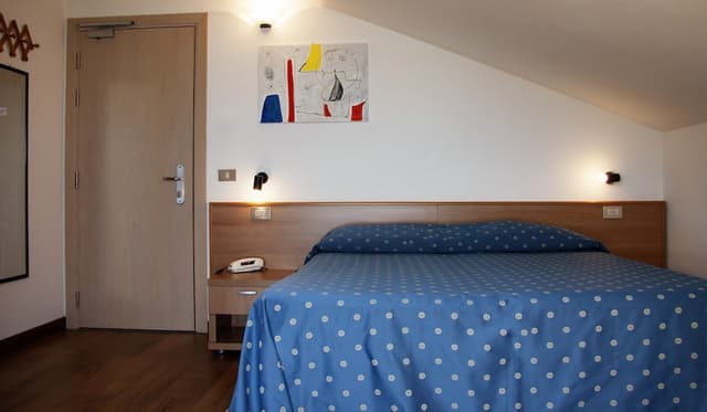 Double Room (Penthouse)