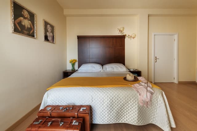 Standard Double Room Single Use