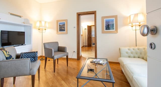 Panoramic Penthouse (Pitti)