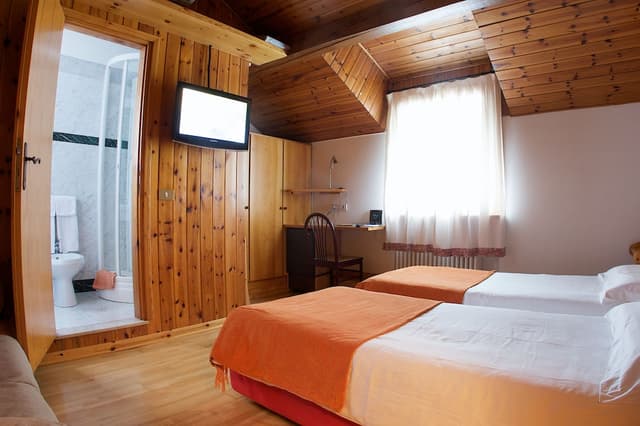 Double or Twin Room