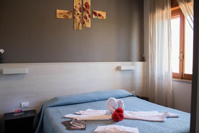Double Room Single Use