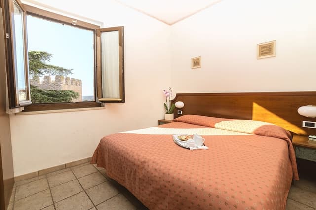Double Room Single Use (2 single bed)