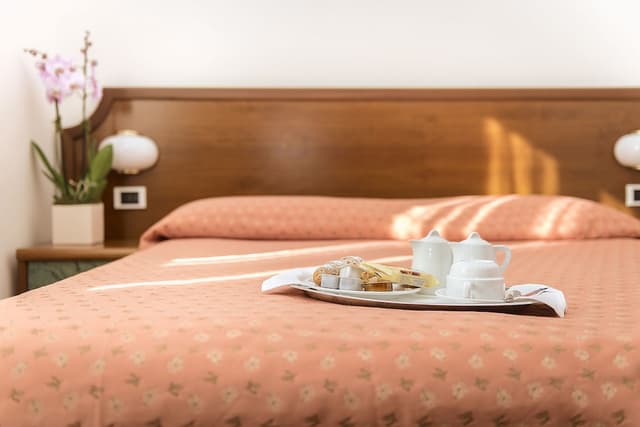 Double Room Single Use (1 double bed)