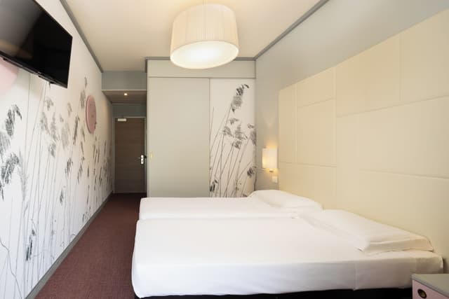 Comfort Double Room Single Use