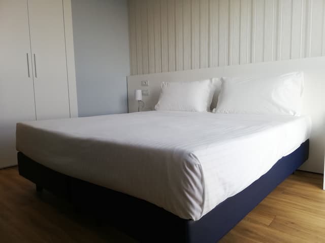 Double Room Single Use, 1 Queen Bed