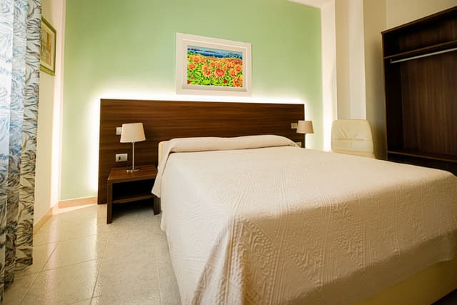 Classic Double Room