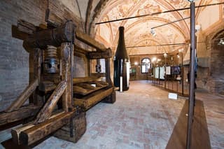 Museo delle Langhe Entrance Ticket