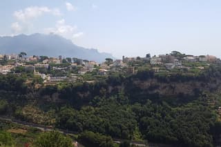 Wine Tour Experience for Family or friend's group