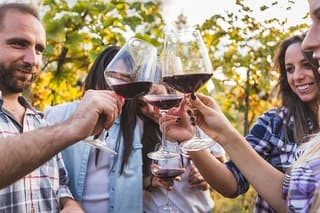 Private Chianti Tuscany Wine Tasting Tour from Florence