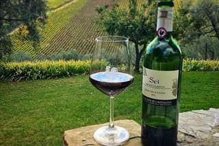 Siena and Chianti Wineries Excursion by Private Luxury Van from Florence