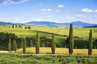 Livorno shore excursion: Bolgheri and Supertuscan private tour