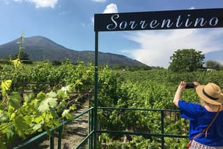 Mt. Vesuvius Winery Tour, 4-Wine Tasting & Traditional Lunch
