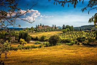 Private Carmignano Tour: The First Cabernet Sauvignon in Tuscany