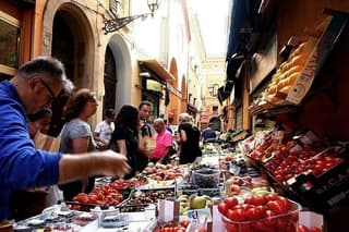 Bologna Private & Personalized Half-Day Tour with a Local Guide