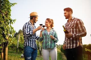 Sicilian Soul: Winery Tour, Wine & Food Tasting in Catania