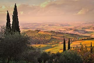 Montalcino and Pienza Tour from Rome