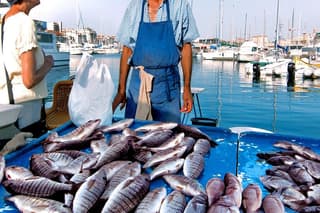 Cesarine: Small Group Market tour and Cooking class in Bari