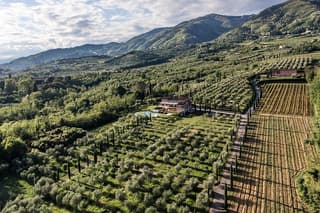 Wine and olive oil tasting & farm tour