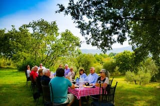 Lunch in the Olive Grove