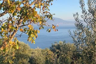 Pompeii Ruins & Sorrento Limoncello Experience
