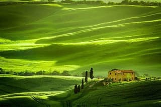 Private: Tuscany Day Tour from Rome with Optional Wine Tasting